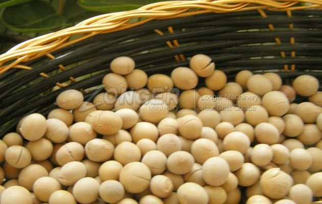 soybean roasted